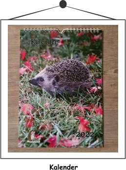 Kalender