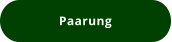 Paarung